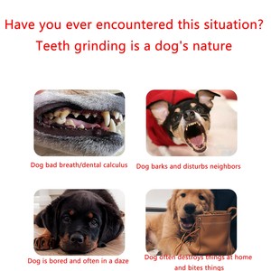 Tienphong 2024 New Promotions! Coffee Wood <b>Dog</b> Chews, Natural White and Sustainable Chewing <b>Toy</b> for Biting and Teething Training - Product Image 4