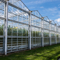 Moderne slimme multi-span Venlo-type glazen kas met hoge lichttransmissie, automatische bediening en aanpasbare afmetingen