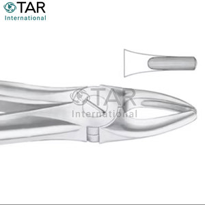 Fig. 2 Pinces à extraction de dents de différentes tailles latérales supérieures et canines Grossistes d'instruments médicaux dentaires - Product Image 2