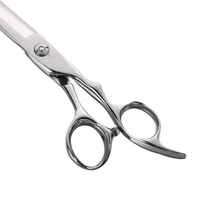Ciseaux de coiffeur japonais en acier inoxydable de qualité supérieure professionnels Ciseaux de coupe de cheveux de beauté avec lames de précision sans effort