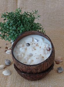Luxury Coconut Shell Bowls Candle Wood Wick Scented Candle Essential Oil Infused Candle Valentine Coconut Gift Box - Product Image 4