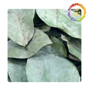 Feuilles de corossol séchées | offrant une saveur délicate et des qualités apaisantes pour des boissons relaxantes à base de plantes | Origine Vietnam - Product Image 6