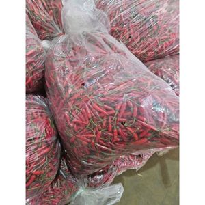 Especias frescas de Chile rojo de Vietnam en forma cruda Entrega rápida y soporte postventa del productor agrícola - Product Image 3