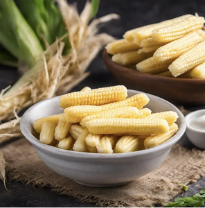 Disponible dès maintenant: Premium IQF Frozen & Fresh Yellow Sweet Baby Corn Vietnam Origin - Product Image 2