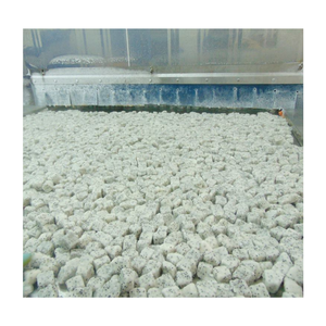 Fruit du dragon congelé écologique, agriculture durable, emballage recyclable, ingrédients propres, parfait pour les marques vertes - Product Image 5