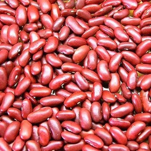 ถั่วแดงเข้มคุณภาพสูง ออร์แกนิก แบบขายส่ง รูปทรงยาว - Product Image 1