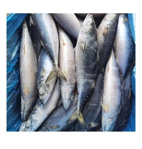 Maquereau congelé de haute qualité, poisson frais naturel, riche en protéines et en oméga 3, pour la cuisson - Product Image 1