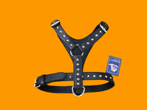 Harnais en cuir souple pour chien, pour l'entraînement à la marche, pour la randonnée, le sport, lot de 5 ensembles de harnais pour chien, rivet clouté, 14.46 $/quantité minimale de commande - Product Image 2