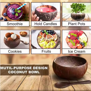 Bol en Coque de Noix de Coco Naturelle de Haute Qualité, Écologique, pour Servir les Aliments, Fabriqué au Vietnam, Dragonex Vietnam CCS01 2025 - Product Image 2