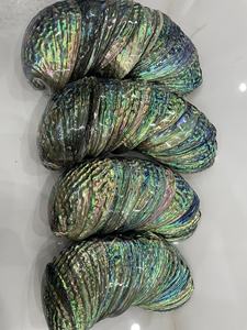 หอยเป๋าฮื้อสีน้ำเงินขัดจากเวียดนามอุปกรณ์ตกแต่งเปลือกหอยมุก - Product Image 6