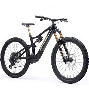 Bicicleta de Montaña Amflow PL Carbon Pro 2026 - Product Image 6