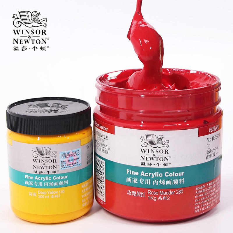 Aottom 24 Colori Acrilici Per Dipingere (24 X 12 Ml) Pittura Colori