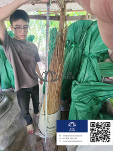 Eco-friendly Simple Coco <b>Broom</b> with Yellow Stick <b>Handle</b> for Home & Yard Use From Blue Lotus Vietnam 2026 - Product Image 3