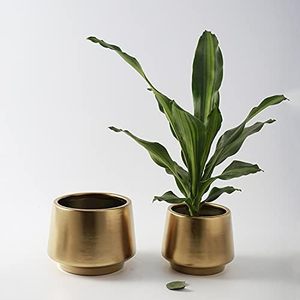 Macetas decorativas de latón dorado de 6 pulgadas para interiores y exteriores, contenedores de plantas suculentas para el hogar y el jardín - Product Image 1