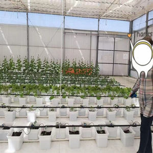 Sistemas Hidropónicos Escalables con Torre Aeropónica para Operaciones Agrícolas Comerciales de Pequeña a Gran Escala - Product Image 6