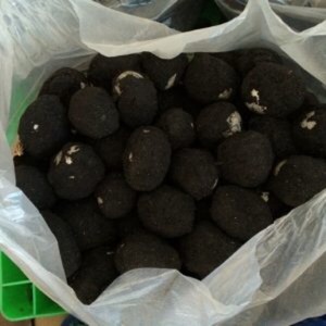 ไข่เป็ดเค็ม-มีคุณค่าทางโภชนาการที่ดีต่อสุขภาพของคุณ - Product Image 1