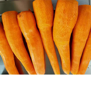 Machine à éplucher les carottes industrielle entièrement automatique à moteur, usage commercial, 220V, garantie 1 an, longue durée de vie, haute puissance 0,1W - Product Image 2