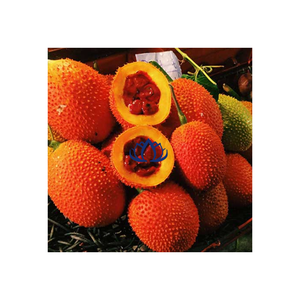 MEJOR VENDEDOR 2023 FRUTA DE GAC MOMORDICA CONGELADA Y SECA DE ALTO GRADO DE GRANJA DE LOTO AZUL VIETNAM - DAVID PHAN - Product Image 1