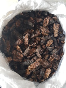 Noni séché prêt à l'exportation du Vietnam-Morinda Citrifolia 100% naturelle, tranches de noni sec en gros à des prix abordables - Product Image 3