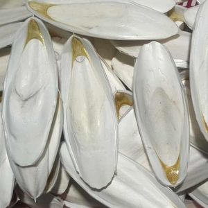 Good Price Durable <b>Interactive</b> Pet Chew <b>Toy</b> Cuttlefish Bone High Quality Natural Teeth Cleaning Wholesale VietChoice Vietnam - Product Image 1