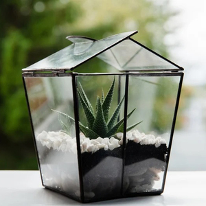 Hot Selling <b>Vintage</b> New Arrival Black Colour Terrarium <b>Vase</b> Planter Decorate in Metal Border for Home & Office Decorate - Product Image 3