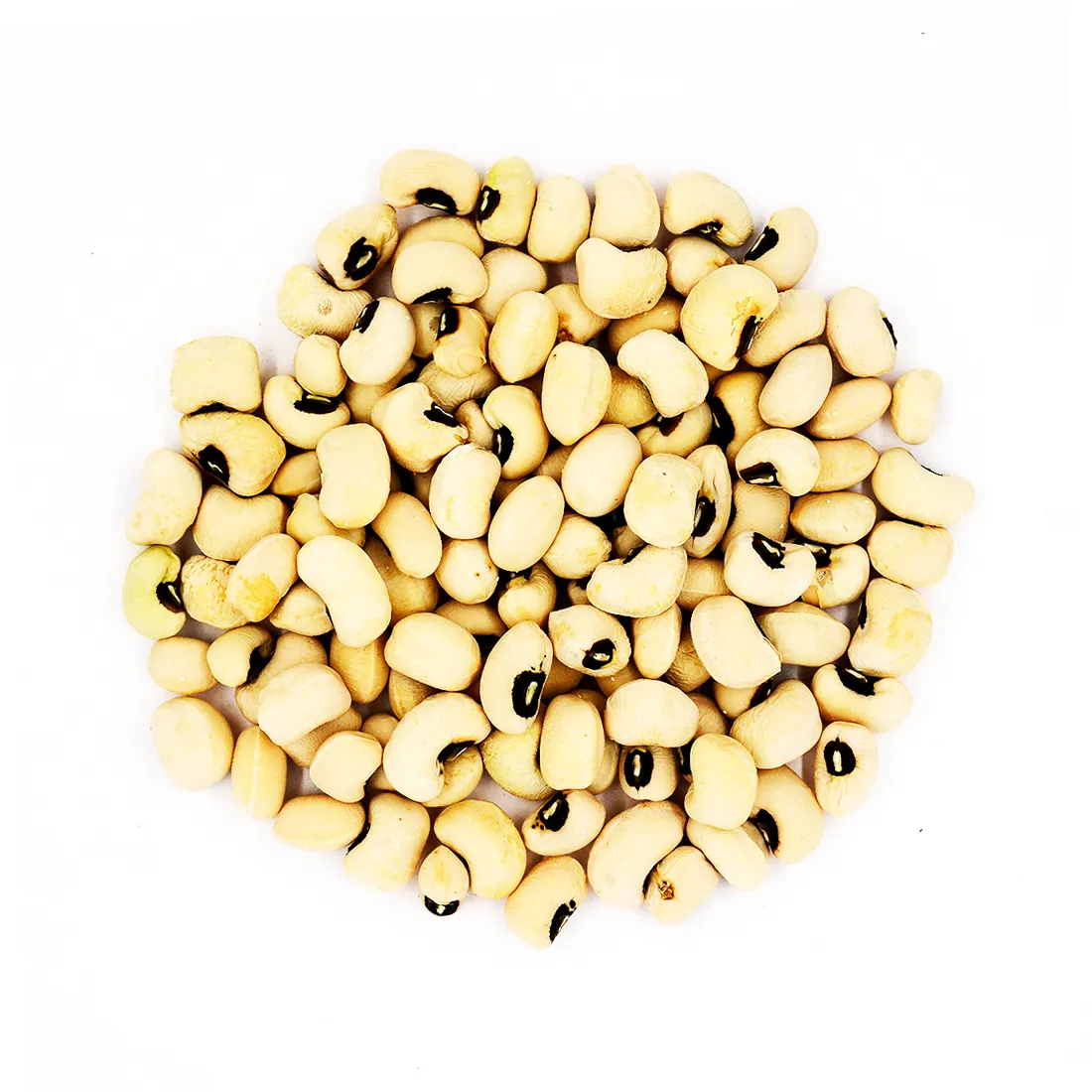 Non-GMO High Grade Bulk Kideny Bohnen aus Usbekistan Natürliche Black Eye White Kidney Bohnen für Lebensmittel