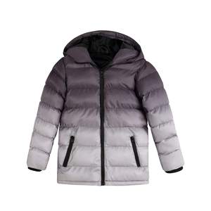 Veste matelassée à capuche brillante de haute qualité personnalisée OEM pour hommes vestes gonflées décontractées d'hiver chaudes à quantité minimale de commande bas vente en gros - Product Image 1