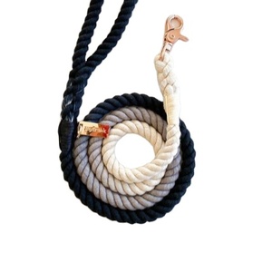 <b>Silver</b> Cloud Rope Dog Lead Rose Gold <b>Clip</b> / 152cm Long / Braided Fibre/ Basics - Product Image 1