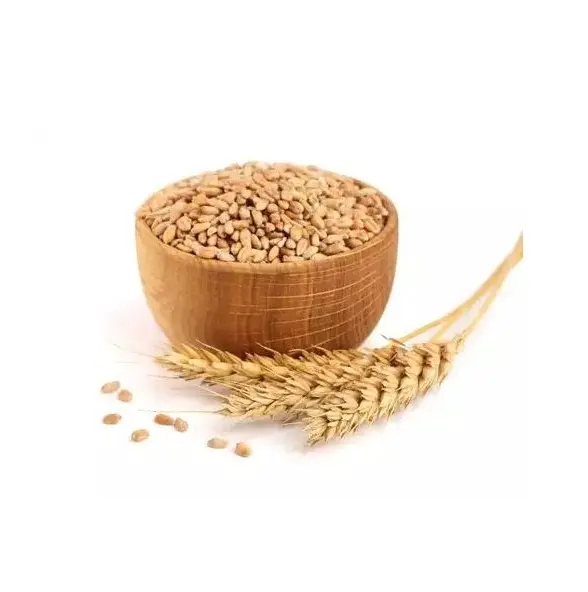 白の柔らかくて硬い小麦の穀物