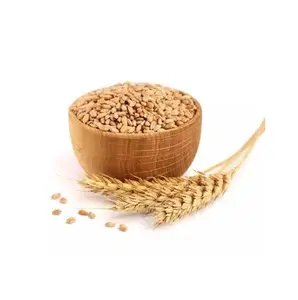 Trắng mềm và cứng hạt lúa mì để bán