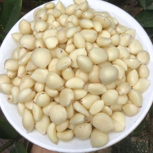 AJO CONGELADO VIETNAMÉS PREMIUM CON ALTO VALOR NUTRICIONAL Y FRESCO PARA PERFECTO SABOR - Product Image 3