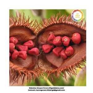 Graines d'annatto du Vietnam Pigment jaune rouge naturel à haute résistance de couleur pour usage alimentaire, cosmétique et industriel - Product Image 2