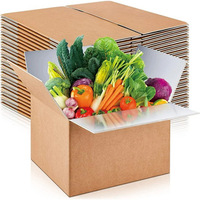 Boîte en carton ondulé en aluminium imperméable personnalisée pour l'emballage des aliments frais, la conservation des fruits, la chaîne du froid, l'expédition