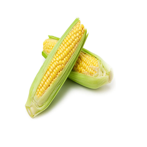 Maïs jaune OGM gluant de haute qualité en provenance de Thaïlande prix de gros style séché pour l'alimentation animale - Product Image 1