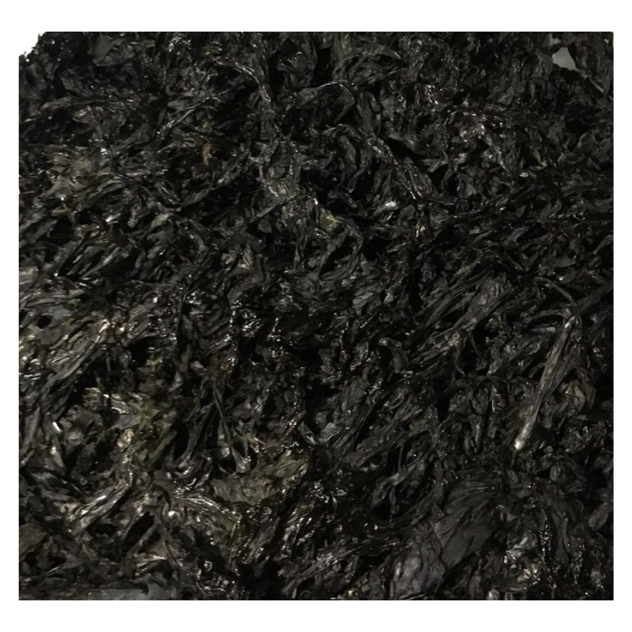 Top Selling Seaweed Best Quality Dried Golden Seamoss With Salt With Branches Best Price Vietnam