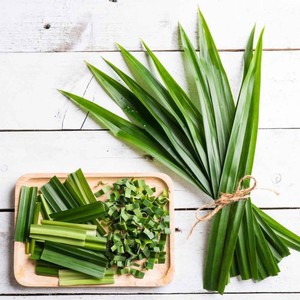 Hoja Pandan natural al mejor precio hojas Pandan verdes para pedidos a granel cosechados de Vietnam - Product Image 6