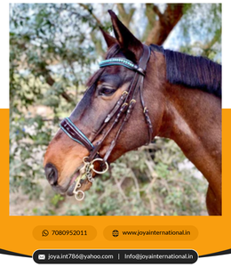 ชุดเดรสแบบพับได้สีน้ำตาลอ่อนพับได้รุ่นลิมิเต็ด - Product Image 4