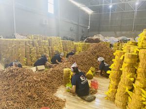 BON PRIX CASSIA CANNELLE NATUREL ROUGE/JAUNE/COULEUR NATURELLE GOÛT ÉPICÉ SÉCHÉ AD CRU (Mobile/WA + 84986778999 David Director) - Product Image 6