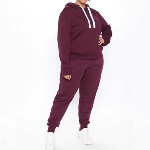 OEM Custom Logo Casual Jogging Suit Blank Cropped <b>Hoodie</b> and Lounge Women Tracksuit 2 Two Piece Set for Women for Winter - Product Image 4