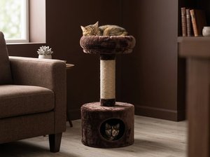Casa para Gatos Fiona Chocolate Dream con Espacio Acogedor para Escurrirse - Product Image 2