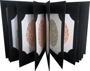 OEM personnalisé Ishihara 24 couleur de plaque pour le livre de carte de test Fabrication SS pour les fournitures de laboratoire et déficience pour l'outil de test - Product Image 1