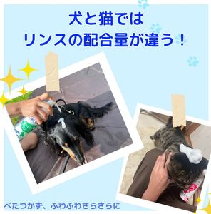 Earth Pet Shampooing mousse sèche crémeuse naturelle pour chats et Dogs-200mL Acide hyaluronique Nettoyage sans rinçage et sans eau - Product Image 4