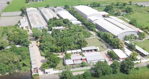 Rouleau en caoutchouc 36 texture mw chaîne de rouleau en caoutchouc avec coussinets en caoutchouc - Product Image 4