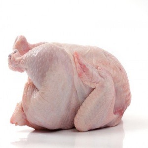 Pollo Congelado Orgánico Halal al por Mayor de Bélgica, Cuerpo de Pollo Congelado en Vivo de Primera Calidad con Vitaminas para la Venta - Product Image 1