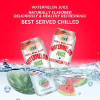 Jus de pastèque 100% pur, fraîchement pressé, en conserve, 490 ml, marque distributeur, durée de conservation 24 mois, faible MOQ, fabricant Vietnamien