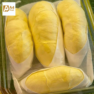 ดื่มด่ำกับผลไม้ออร์แกนิกคุณภาพระดับพรีเมียมของทุเรียนที่มีรสชาติหวานครีมโดยตรงจากฟาร์มที่ดีที่สุดในประเทศไทย - Product Image 1