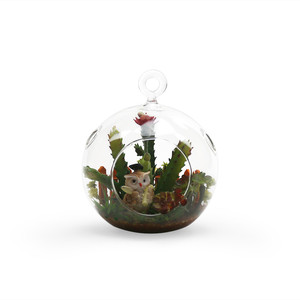 HCH0104-ใสแขวนแก้ว Terrarium/เชิงเทียน-4 "x 5" - Product Image 4