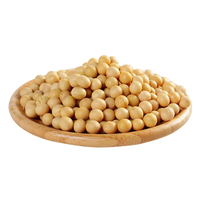 Soja biologique en vrac, qualité supérieure, sec, origine américaine, 10 kg, riche en protéines, bruts, naturels, graisses saines, livraison rapide, vente en gros