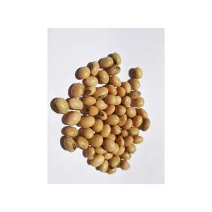 Worldwide Largest Stock of High Quality Non GMO Organic <b>Soybean</b> Dried and Bulk Packed at Best Market Rates - Product Image 3