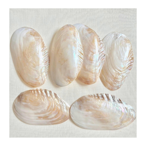 Tranches de coquille de nacre du Vietnam de nacre de qualité supérieure pour la décoration de meubles de bijoux artisanaux et la production d'incrustation - Product Image 6